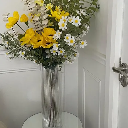 Johnsville House Pensjonat