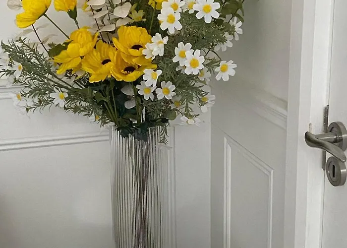 Johnsville House Pensión